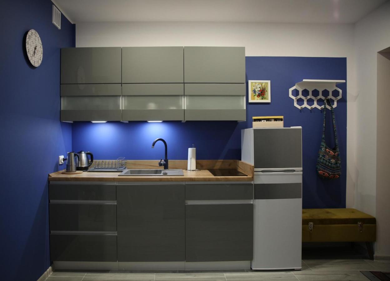 Apartament Dla Dwojga Ustrzyki Dolne Dış mekan fotoğraf