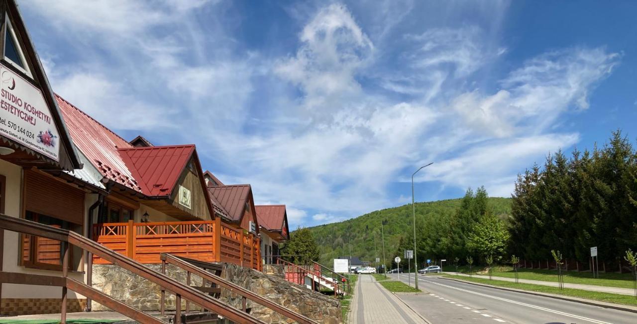 Apartament Dla Dwojga Ustrzyki Dolne Dış mekan fotoğraf